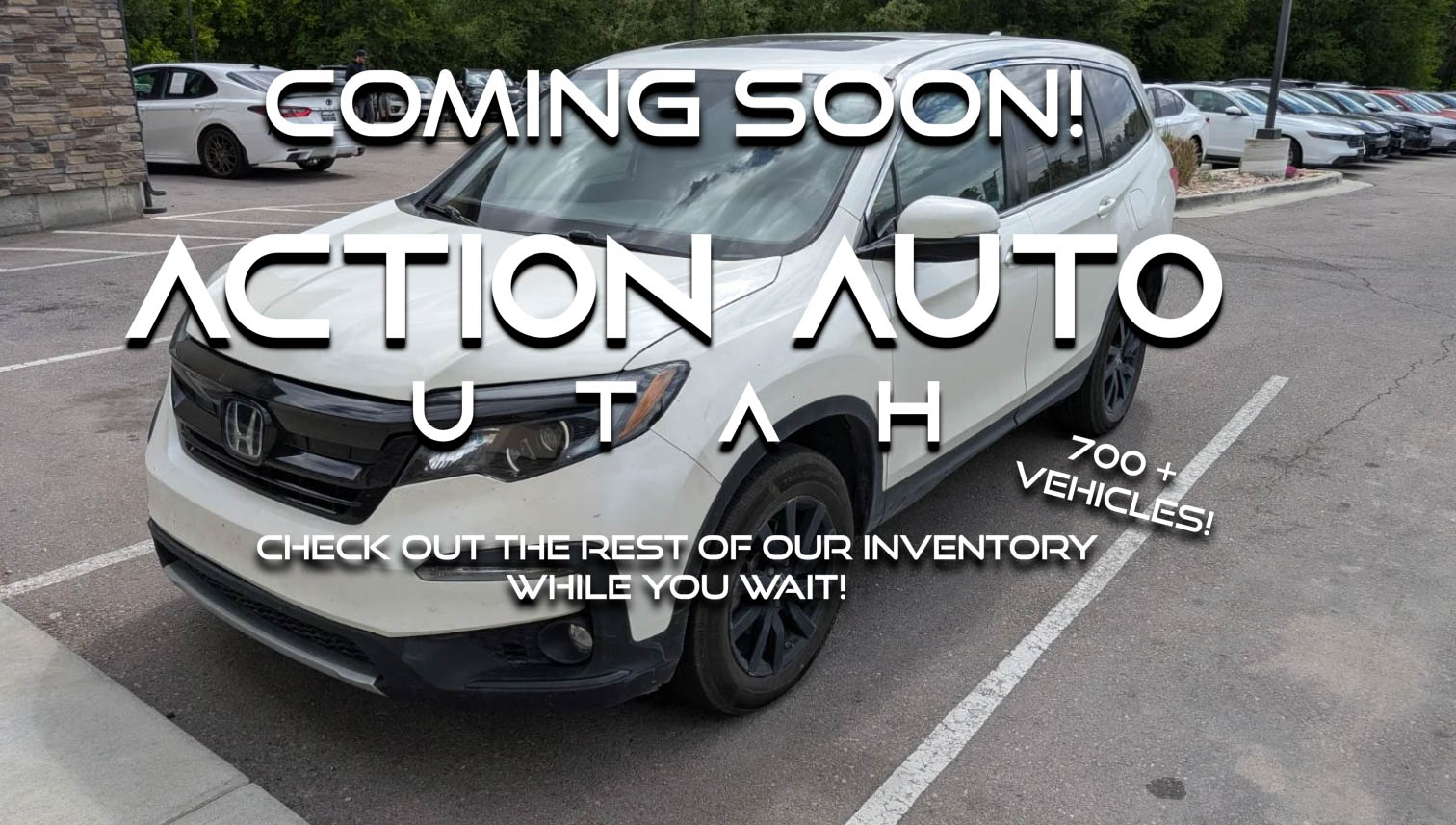 2019 Honda Pilot 4WD EX-L's photo