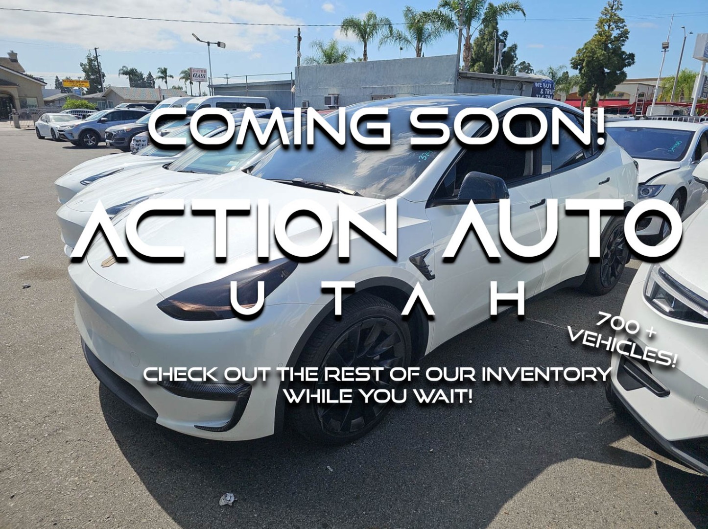 2022 Tesla Model Y Long Range Dual Motor All-Wheel Drive's photo