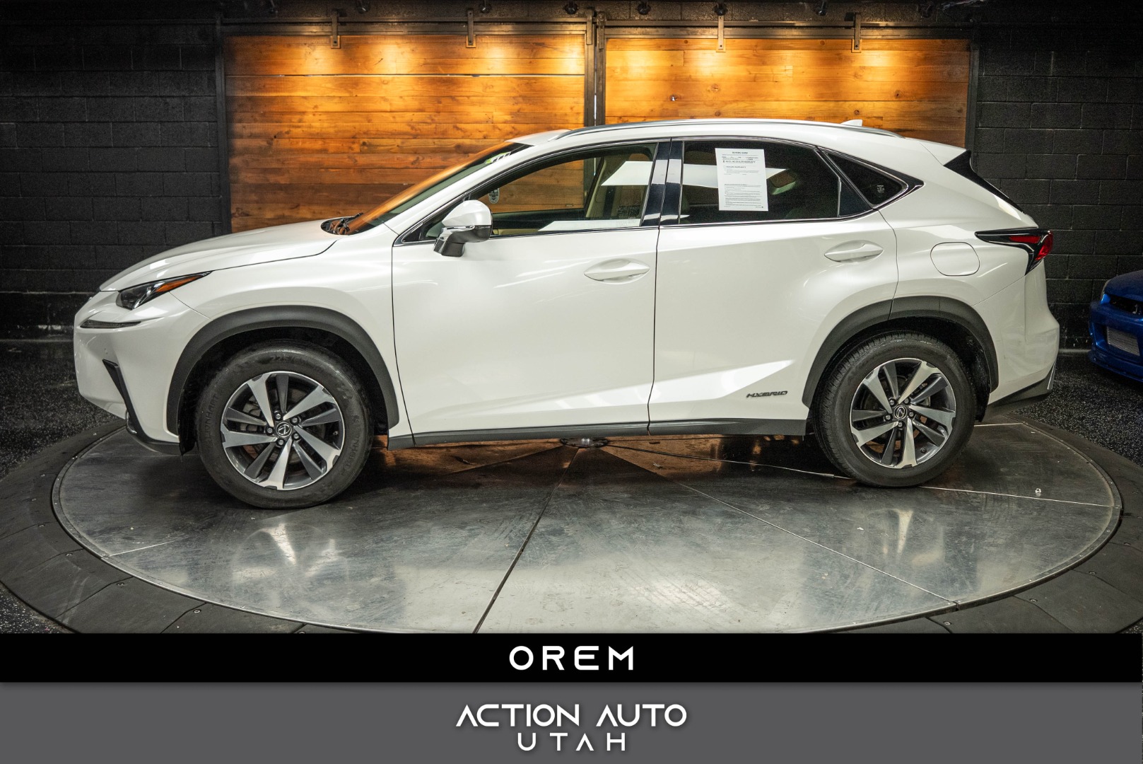 2019 Lexus NX 350h 300h AWD's photo