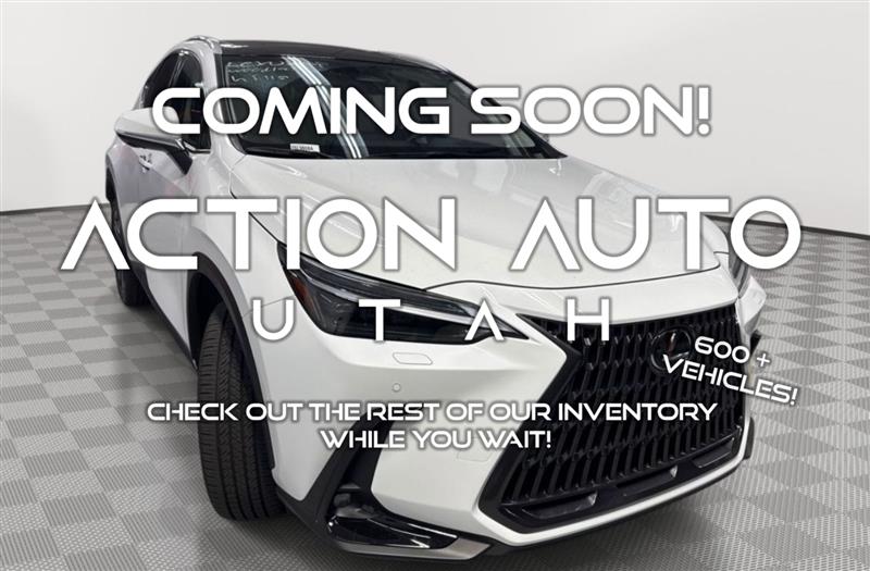 2024 LEXUS NX