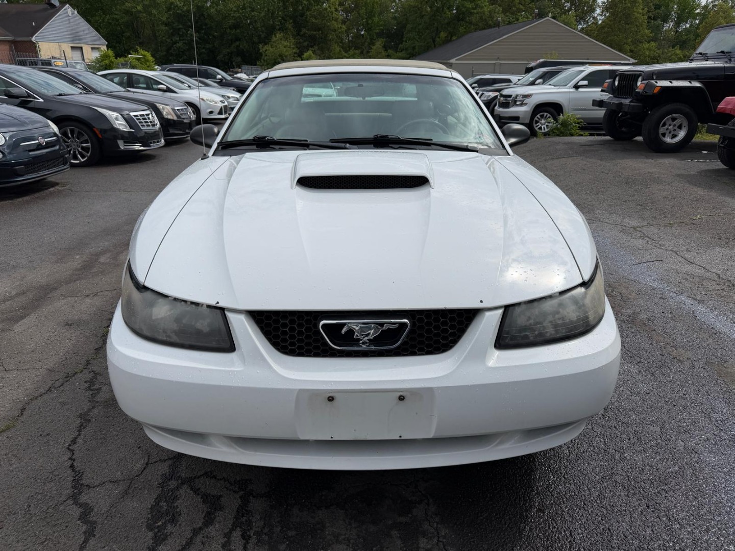 2003 Ford Mustang Premium's photo
