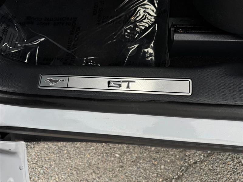 2023 FORD MUSTANG MACH-E GT
