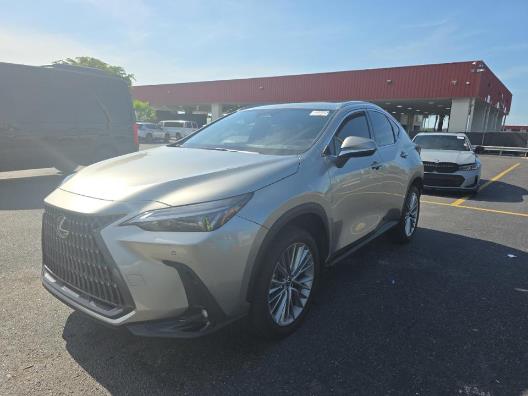 2025 LEXUS NX NX 350H PREMIUM