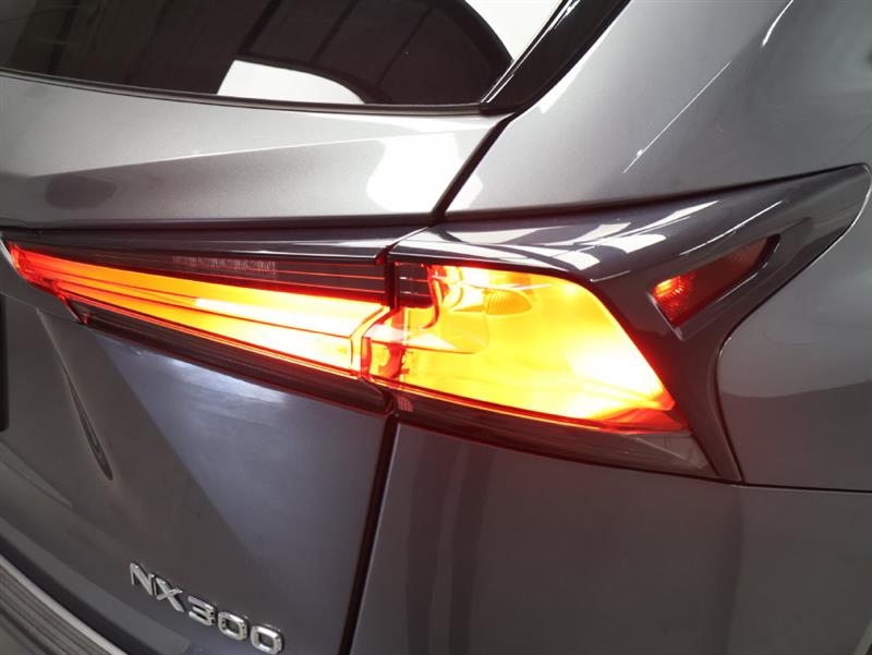 2018 LEXUS NX NX 300