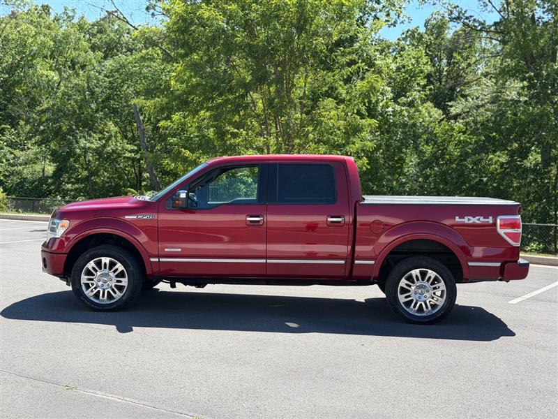 2014 Ford F-150 Platinum - Photo 2