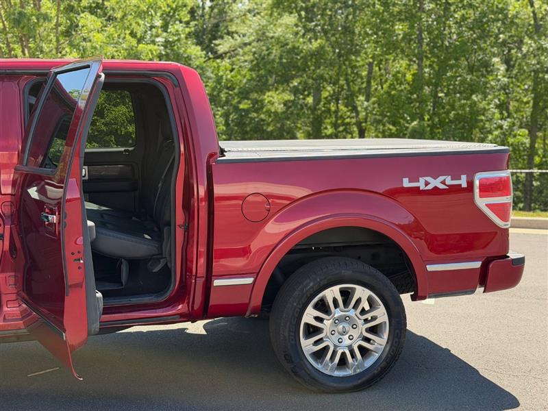 2014 Ford F-150 Platinum - Photo 8