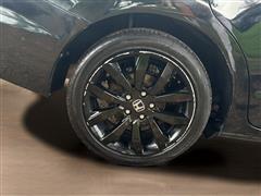 Thumbnail 21