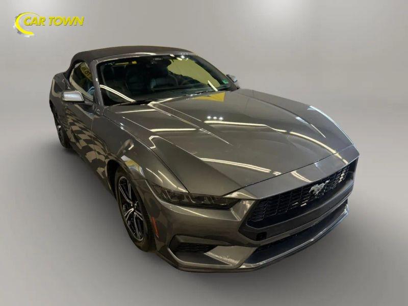 Vehicle photo 5