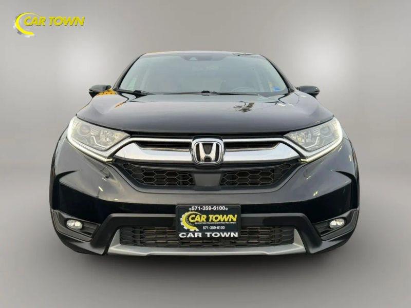 Vehicle photo 4