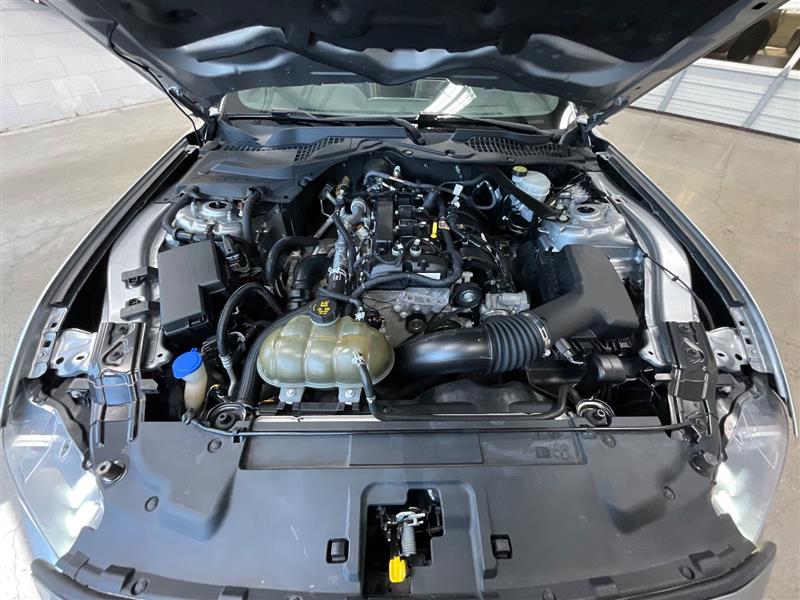 2021 FORD MUSTANG ECOBOOST