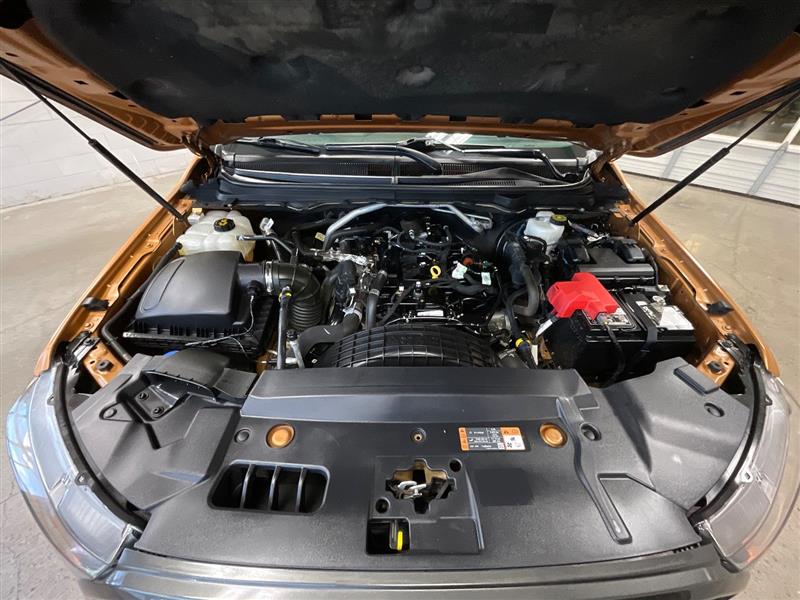 2019 FORD RANGER XLT/SPORT/FX4 OFF-RD