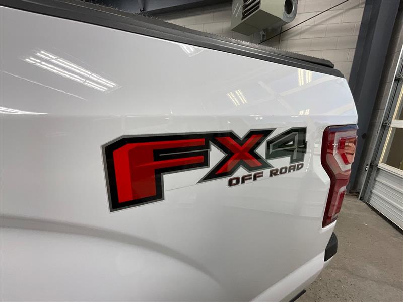 2019 FORD F-150 XLT/FX4