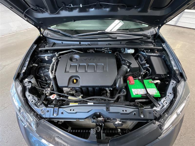 2019 TOYOTA COROLLA LE