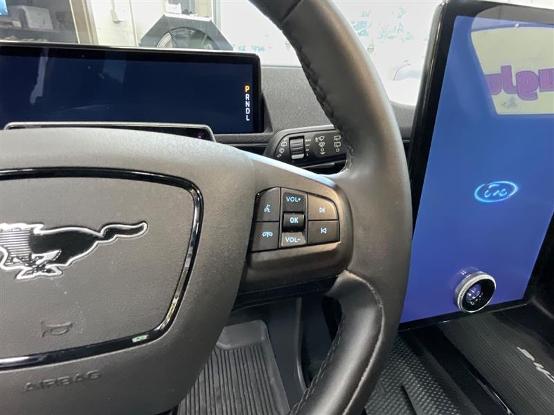 2023 FORD MUSTANG MACH-E California Route 1