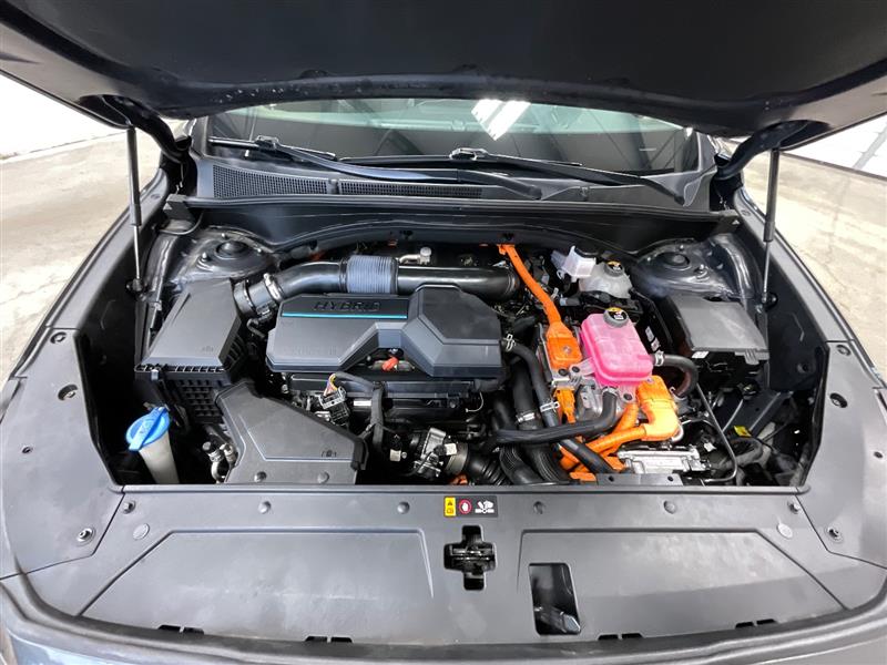 2023 HYUNDAI SANTA FE HYBRID Blue