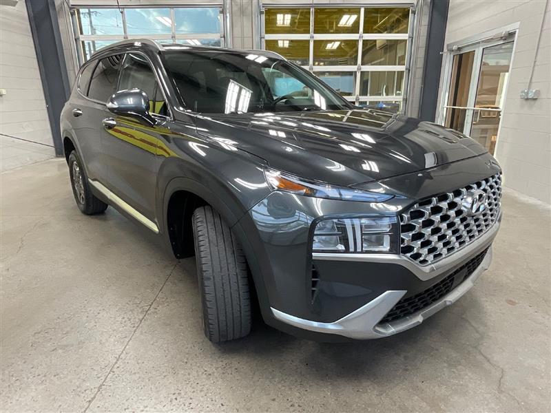 2023 HYUNDAI SANTA FE HYBRID Blue