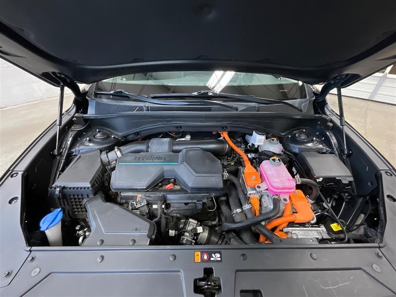 2023 HYUNDAI SANTA FE HYBRID Blue