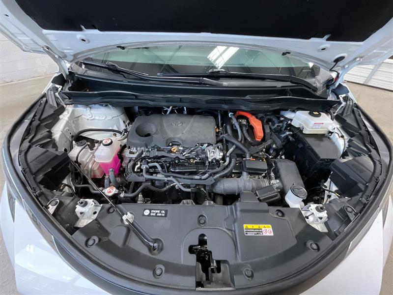 2023 TOYOTA SIENNA LE