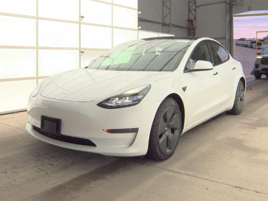 2021 Tesla Model 3 Standard Range Plus's photo