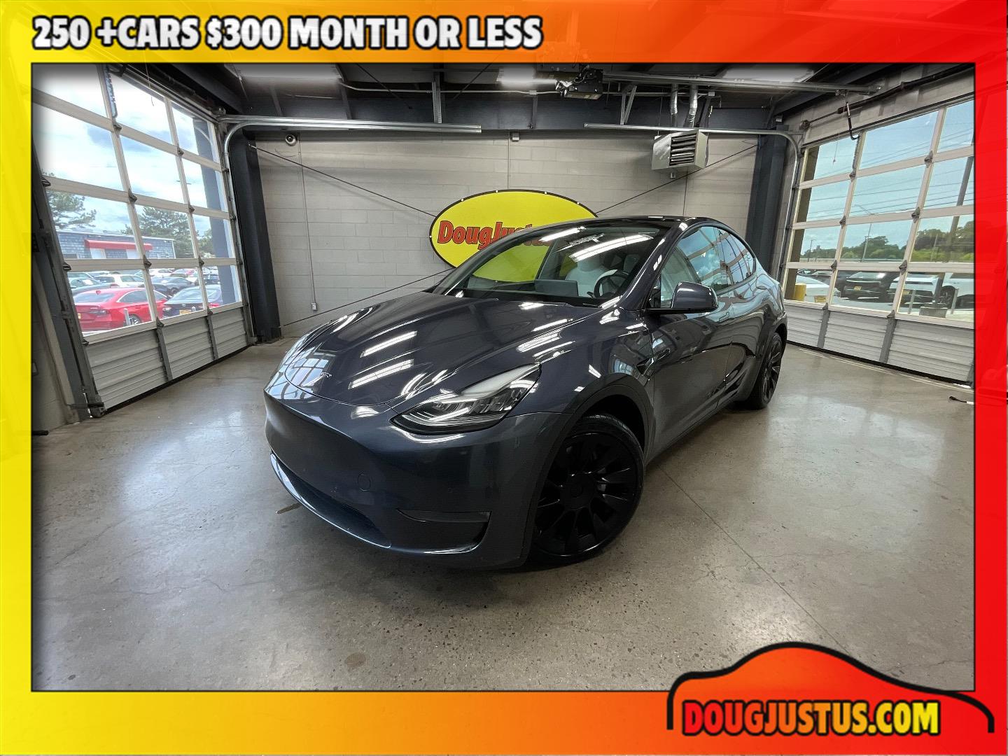 2021 Tesla Model Y's photo