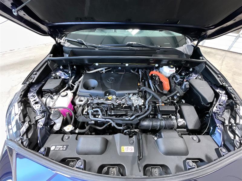 2024 TOYOTA VENZA LE