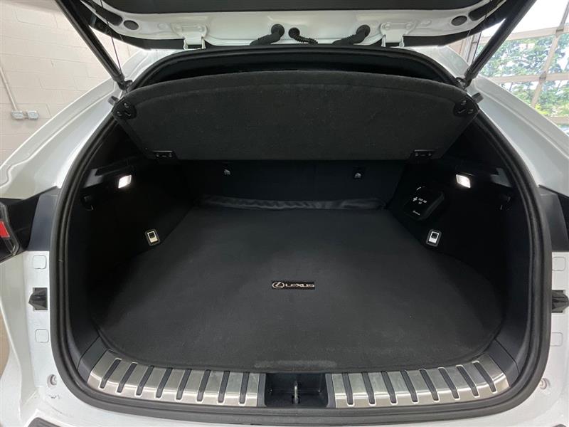 2018 LEXUS NX 300 F SPORT 