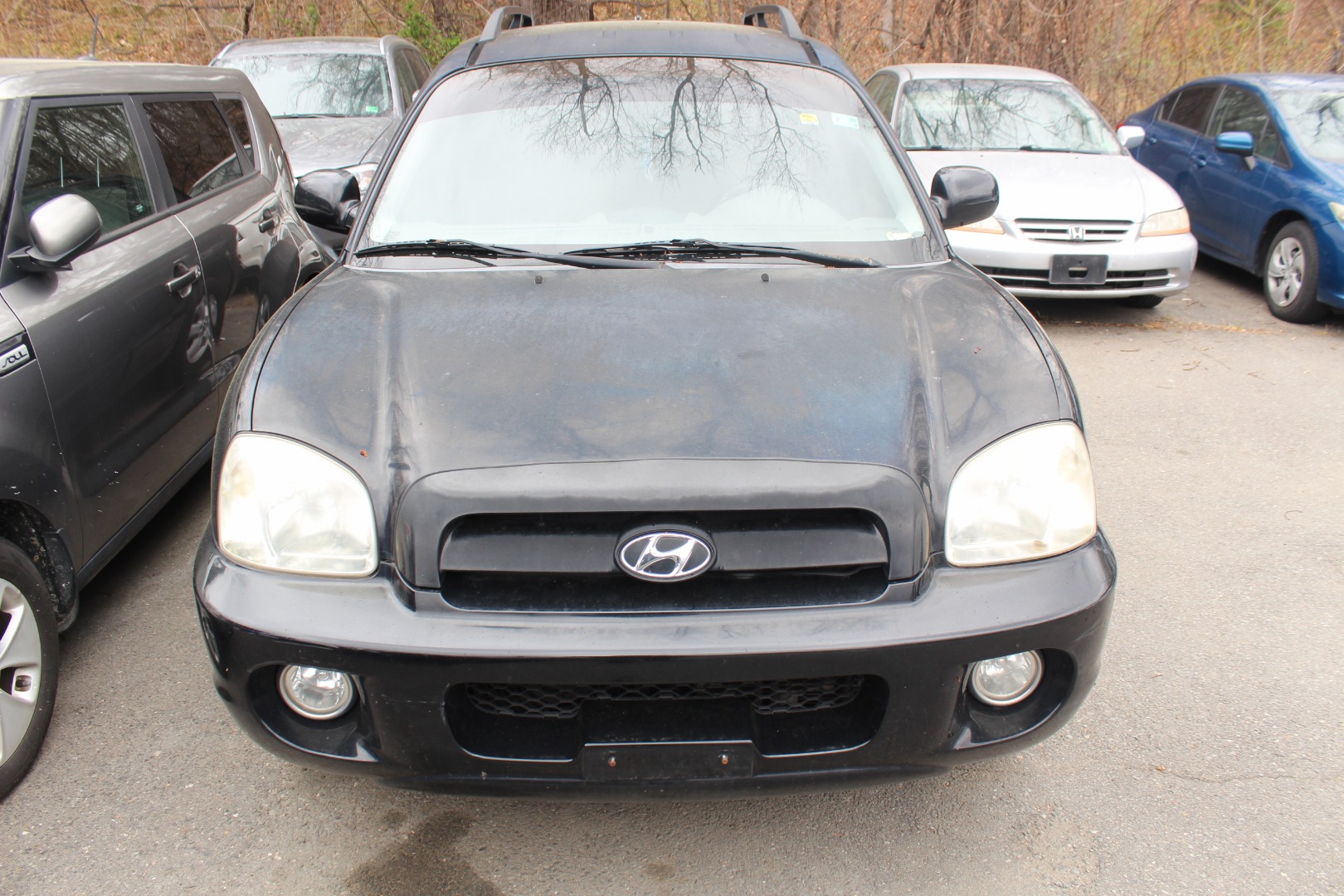 2006 Hyundai Santa Fe Limited's photo