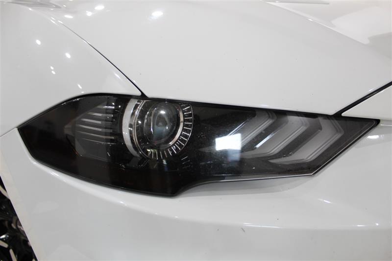 2018 Ford Mustang EcoBoost - Photo 10