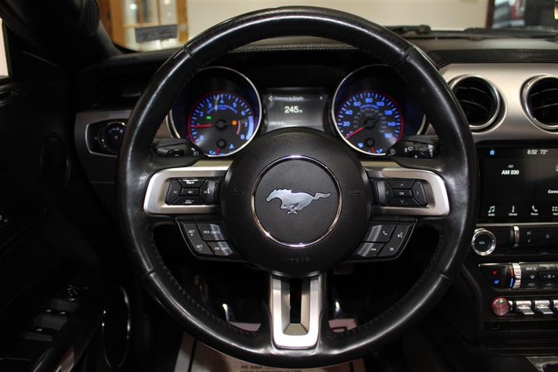 2018 Ford Mustang EcoBoost - Photo 17