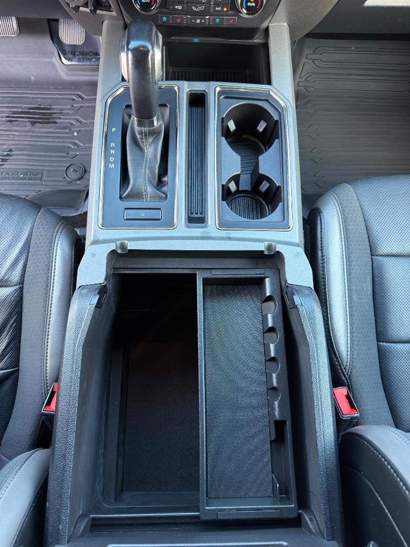 2020 Ford F-150 Raptor - Photo 15