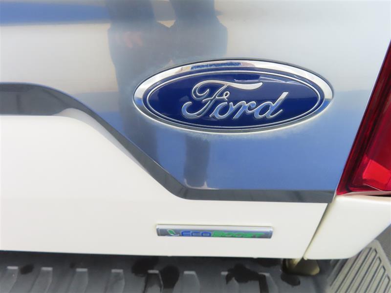 FORDF-15015