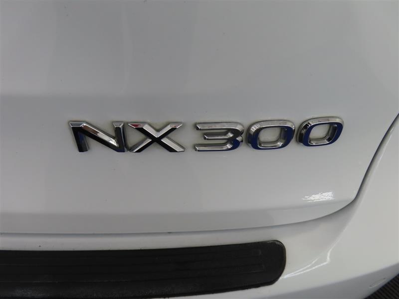 LEXUSNX 30014