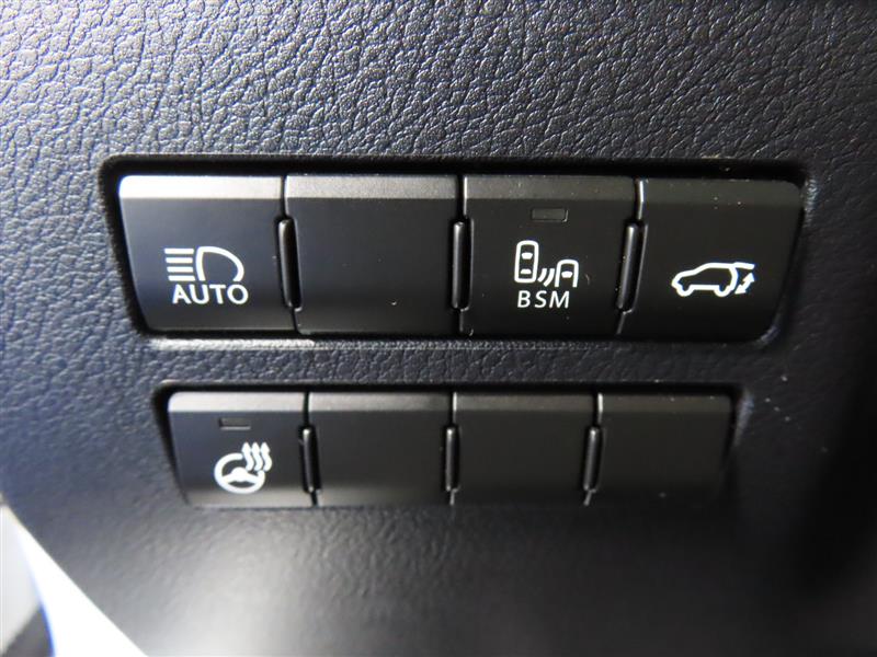 LEXUSNX 30020