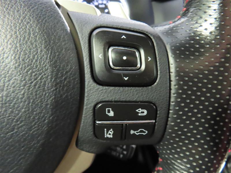 LEXUSNX 30022