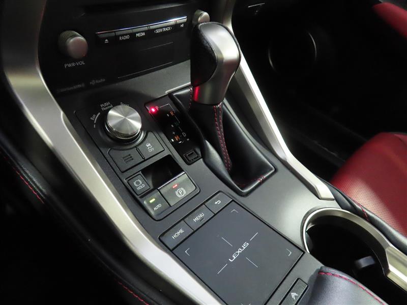 LEXUSNX 30028