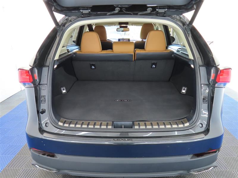 LEXUSNX 30012