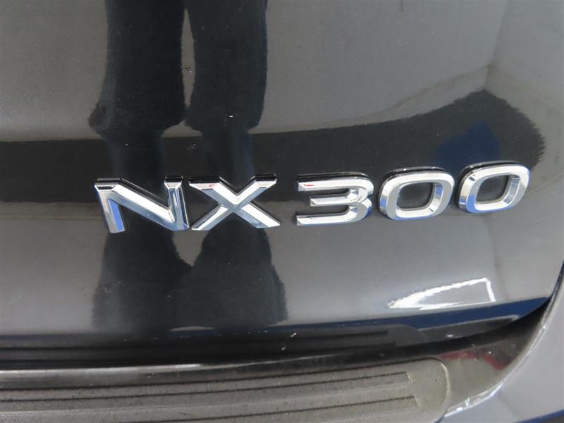 LEXUSNX 30013