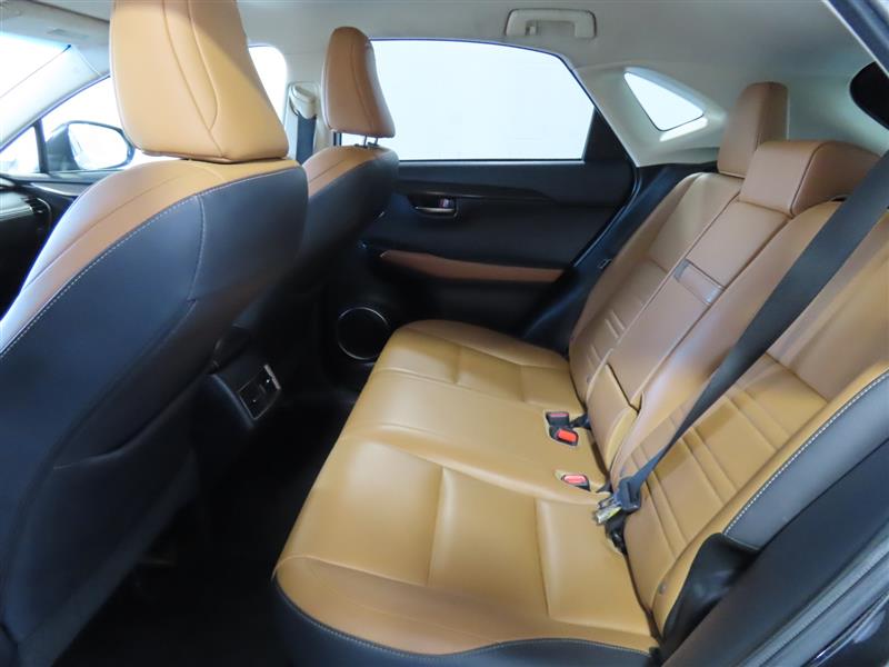 LEXUSNX 30030
