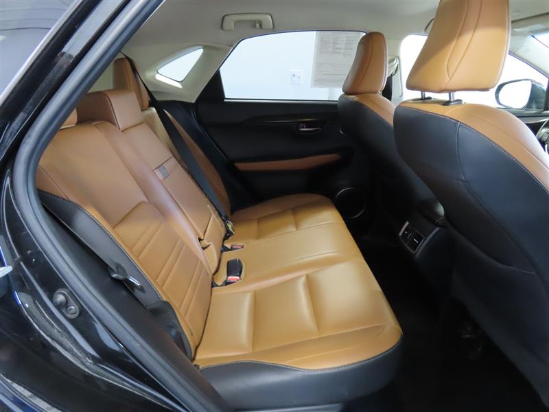LEXUSNX 30033