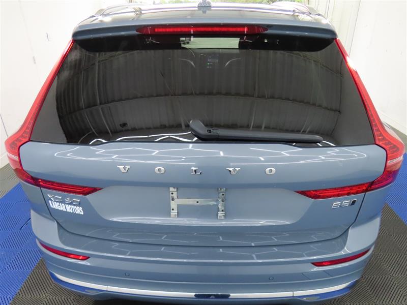 VOLVOXC6011