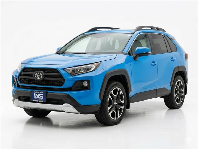 2019 TOYOTA RAV4 ADVENTURE