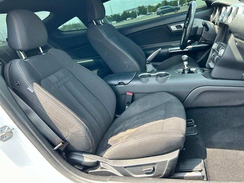 2019 FORD MUSTANG GT