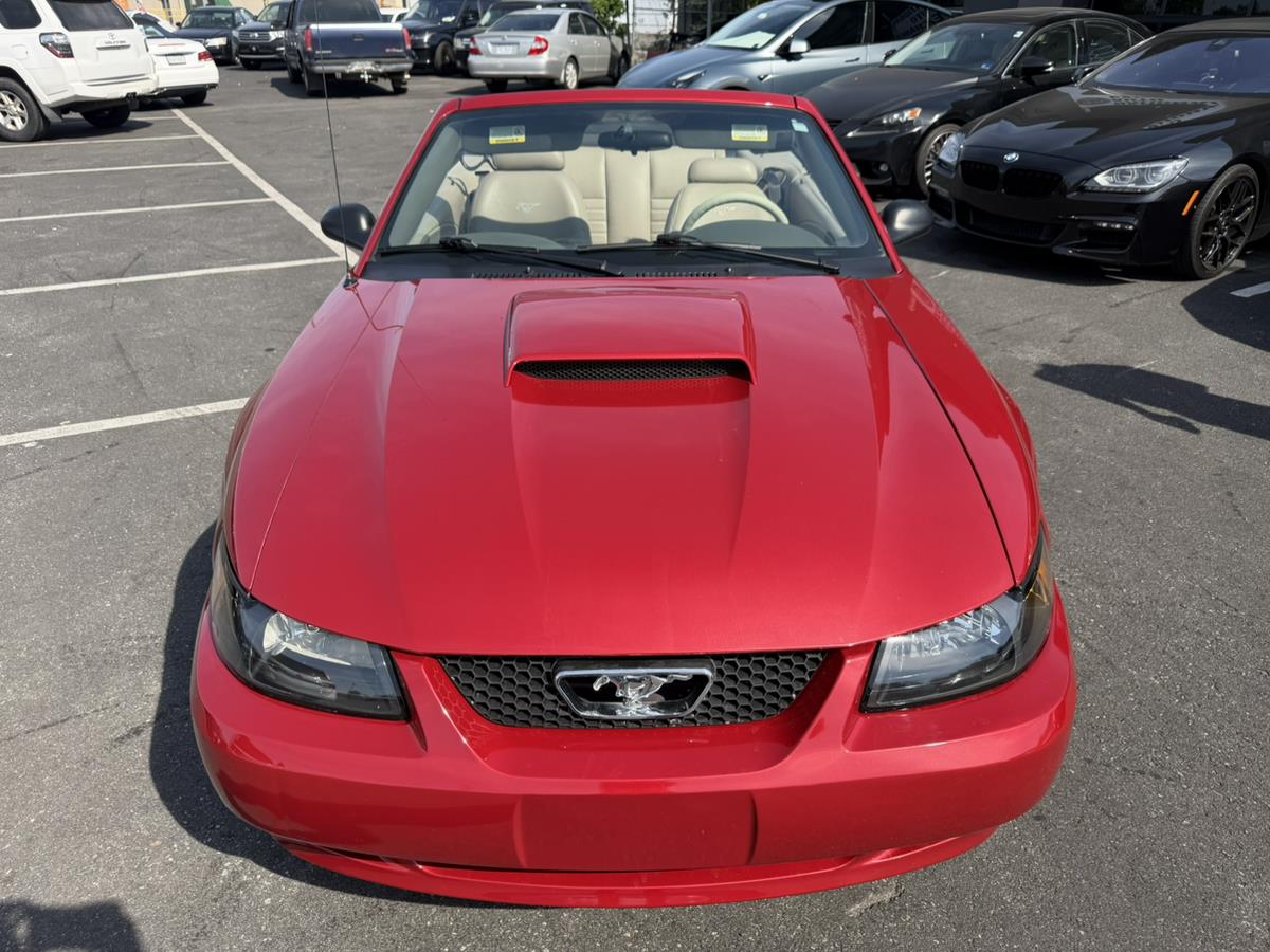 2002 Ford Mustang GT Deluxe - Photo 15