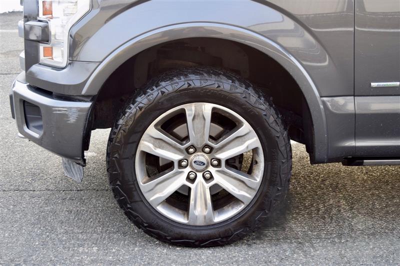 2015 Ford F-150 Platinum - Photo 10