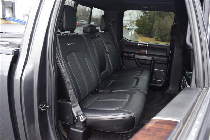 2015 Ford F-150 Platinum - Photo 16