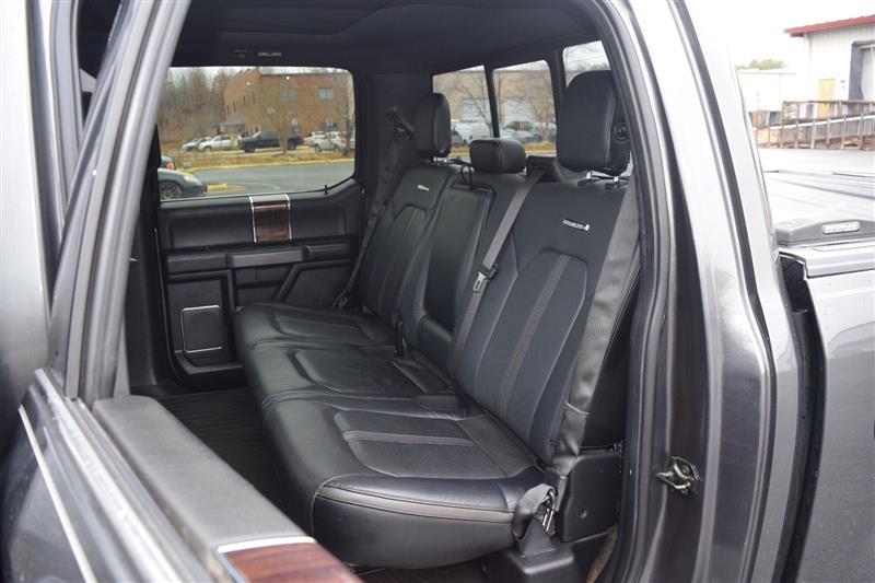 2015 Ford F-150 Platinum - Photo 17