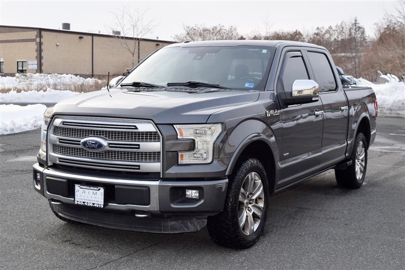 2015 Ford F-150 Platinum - Photo 3